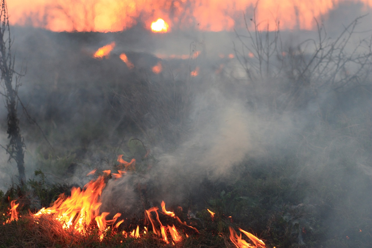 Dealing with Natural Disaster – A Safety Guide